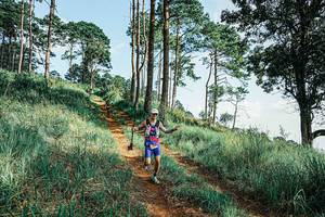 BIB: 
                            <button type="button" onclick="openModal(25672829)" class="btn btn-primary btn-sm float-right btn-popup" data-toggle="modal" data-target=".modal-high-quality">
                        <i class="fas fa-shopping-cart"></i> Add to Cart
                    </button>
                                            <button type="button" onclick="isThisMe(25672829, true)" class="btn btn-success btn-sm float-right btn-popup btn-isme hidden" data-toggle="tooltip" data-placement="bottom" title="นี่คือรูปของคุณใช่ไหม คลิกที่นี่เพื่อเอาเข้าอัลบั้ม">
                        <i class="fas fa-plus"></i> Add to album
                    </button>
                    <button type="button" onclick="isThisMe(25672829, false)" class="btn btn-warning btn-sm float-right btn-popup btn-isnotme hidden">
                        <i class="fas fa-ban"></i> Remove from album
                    </button>